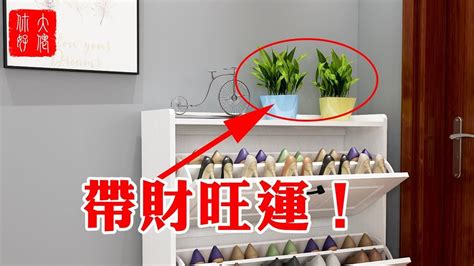 鞋櫃上可以放什麼植物|鞋櫃上可以養什麼植物呢 (附圖)